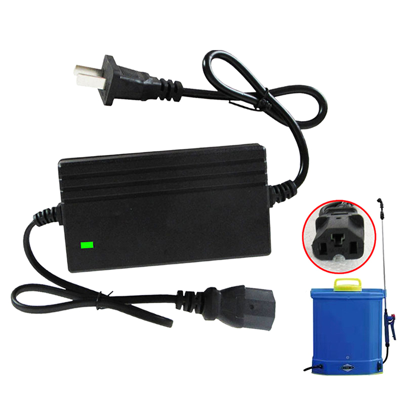 1A Lithium Battery Charger Spa - огляд і ціна Crossfit Machine